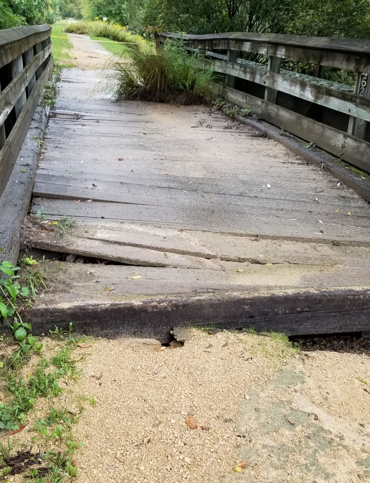 060819-bara-news-trail-DNR-03